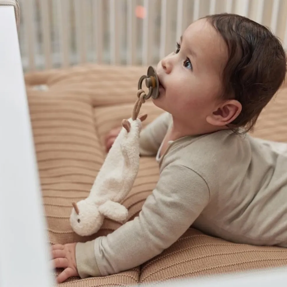 Jollein Schnullertuch Ente Spring Garden