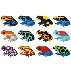 Mudpuppy Memory Spiel Tropische Frösche