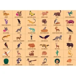 Mudpuppy Puzzle Suchen & Finden Wüste 64 st.