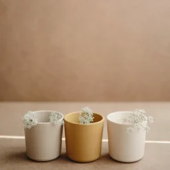 Mushie Becher Vanille 2-Teilig