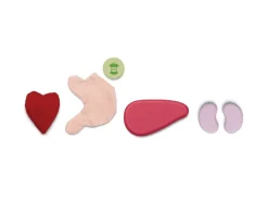 PlanToys Chirurgen Spielset Holz 3703