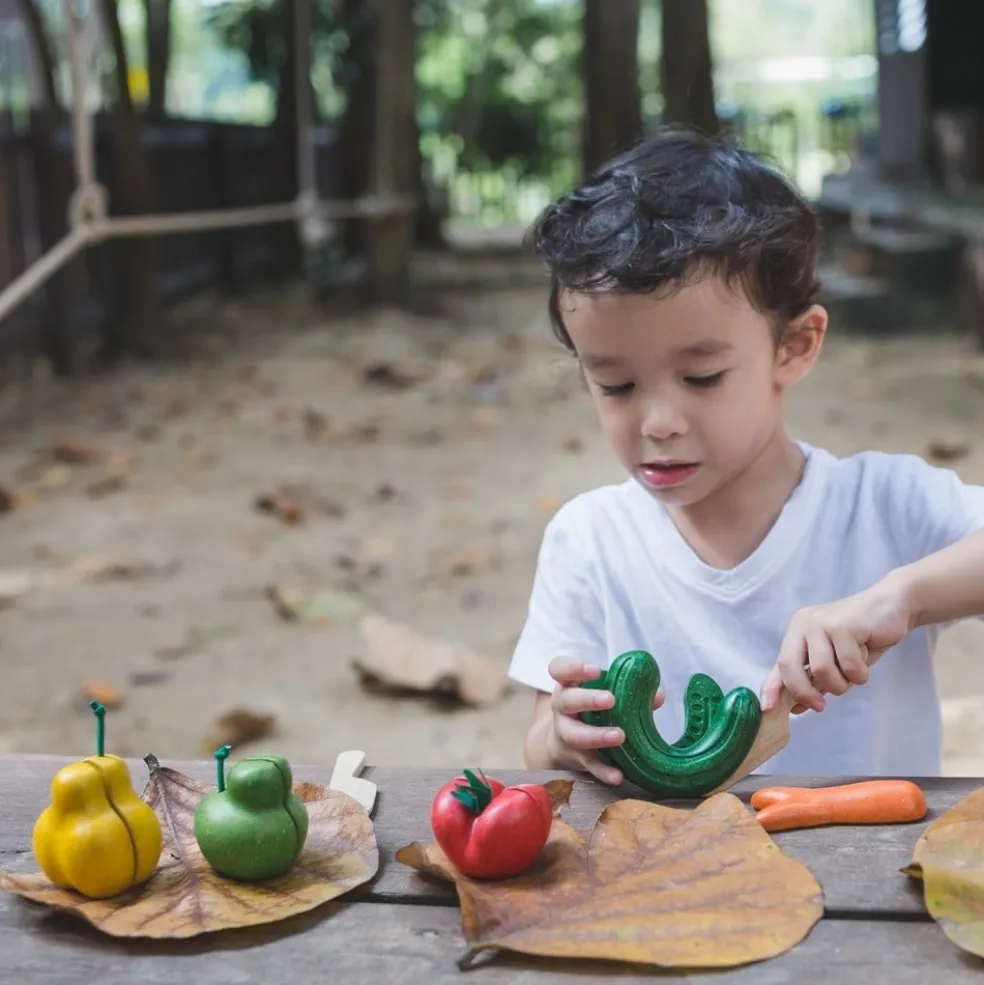 PlanToys Wonky Obst & Gemüse 3495