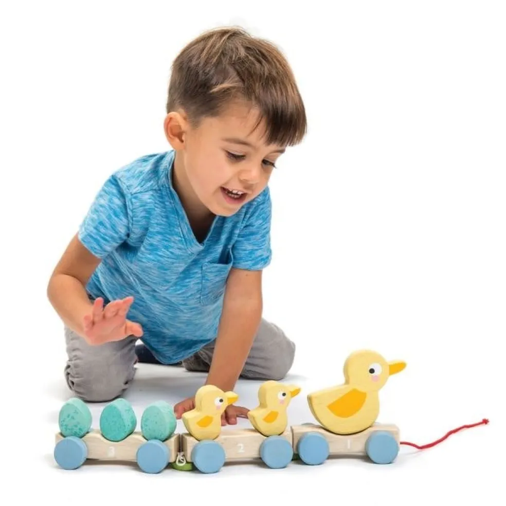 Tender Leaf Toys Nachziehtiere Enten Holz