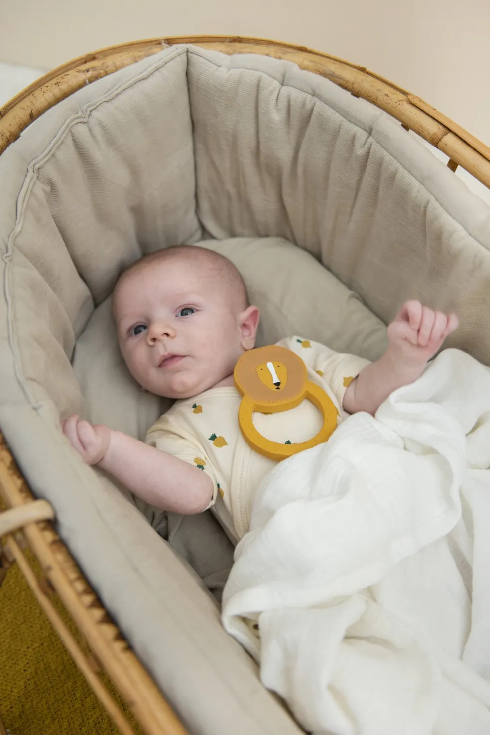 Trixie Baby & Kids Beißring Rund Mr. Lion