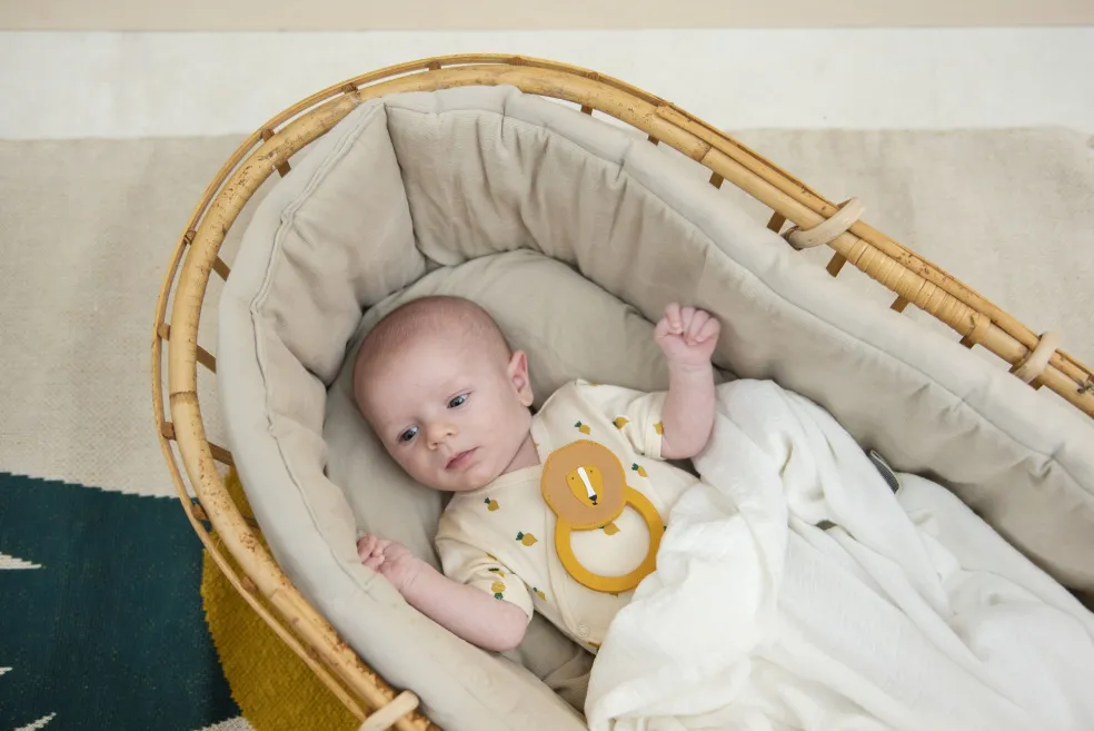 Trixie Baby & Kids Beißring Rund Mr. Lion