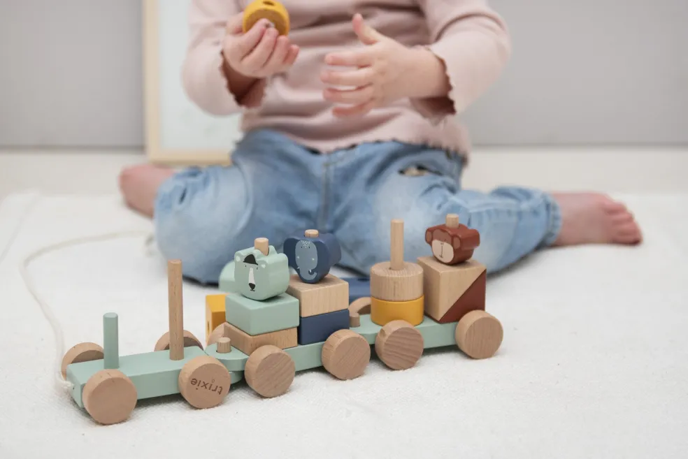 Trixie Baby & Kids Holzeisenbahn mit Tieren